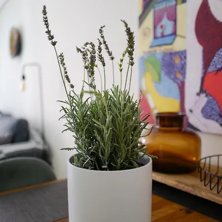 La Faroleta Puerto Appartement Dénia